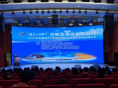 青海公开征集“AI+IP”赋能盐湖产业发展“金点子”